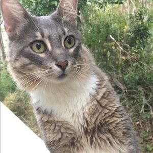 Meet your Posher, Julie